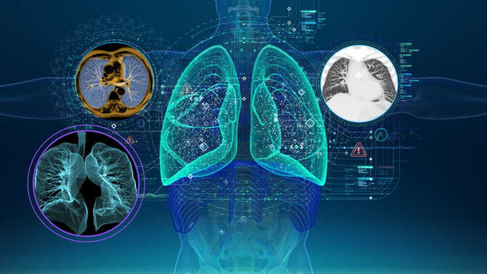 Digital Twins in Healthcare: A Virtual Revolution in Personalized Medicine