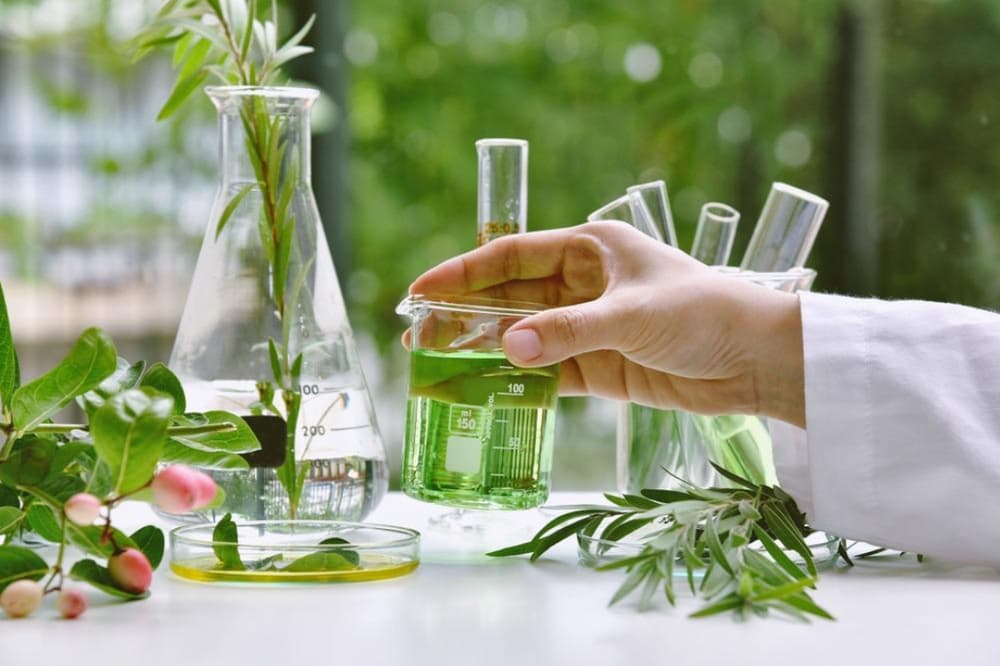 Plant Based Pharma Are Mushrooms and Seaweed the Future of Medicine