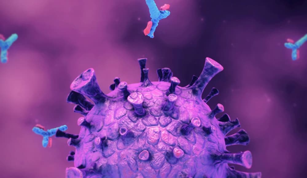 Post COVID 19 Immunity Reset
