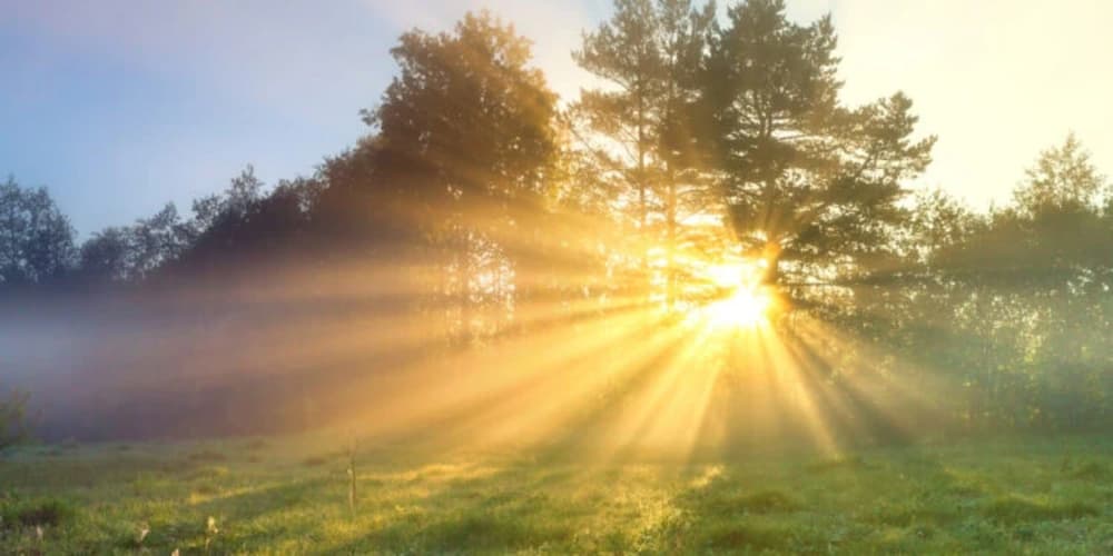 Sunlight as Medicine: The Rise of Circadian Wellness