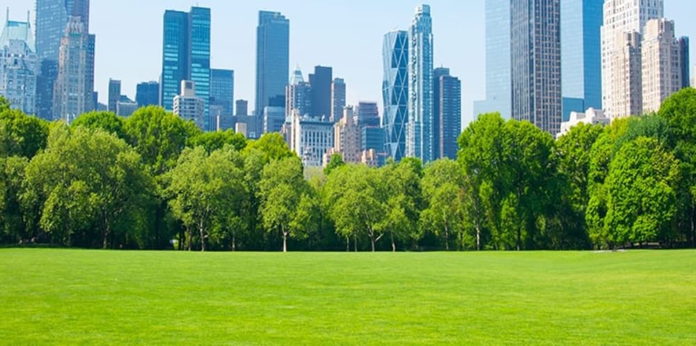 Urban Green Spaces Mental Physical Health Benefits