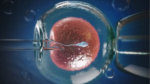 AI for Fertility